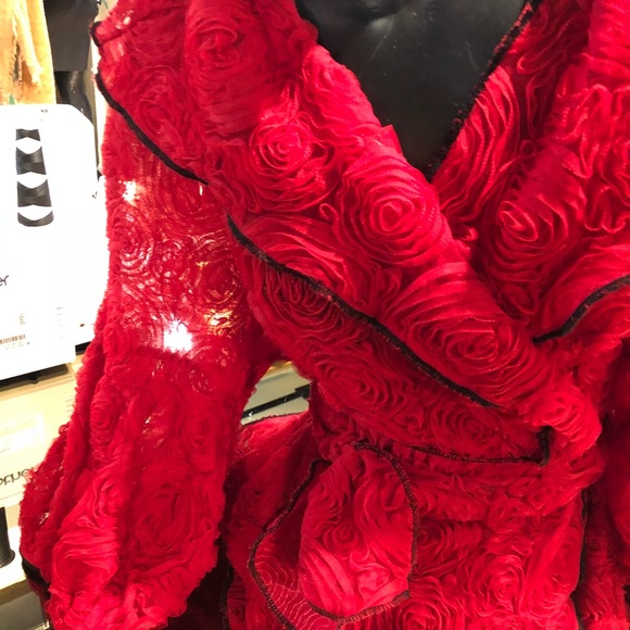 Red Roses Sheer Jacket - Picture 3 of 4
